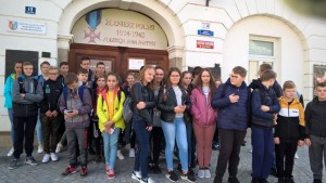 WP 20190920 10 59 23 Pro1