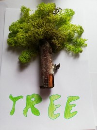 101537124 639639313299060 2205851158335979520 o