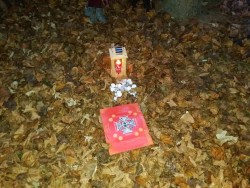 79212090 3874352719257607 1194680866035466240 n