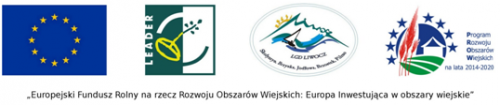 logo1