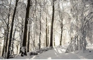 Krzysztof Garncarz SP3