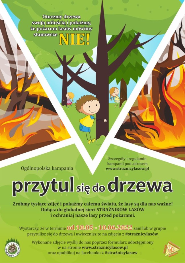 przytul sie do drzewa 1
