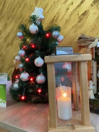 268274363 1059125307981986 8382741657449942774 n