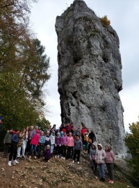 245426938 2920045668309486 6442512549776229324 n