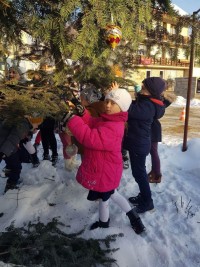 320225505 536574931689305 5962968402456002808 n