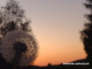 IMG 20220518 203243214